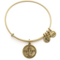 Alex and Ani Bangle/ Charms Bangle/ Fashion Jewelry (XBL13354)